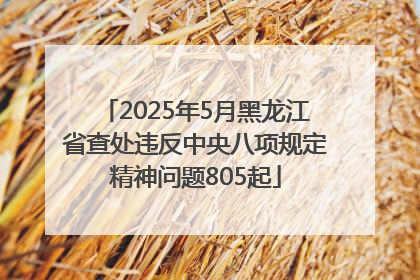 2025年5月黑龙江省查处违反中央八项规定精神问题805起