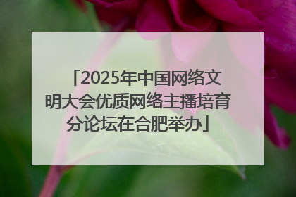 2025年中国网络文明大会优质网络主播培育分论坛在合肥举办
