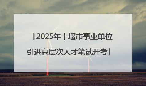 2025年十堰市事业单位引进高层次人才笔试开考
