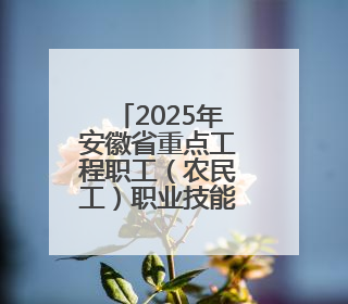 2025年安徽省重点工程职工(农民工)职业技能竞赛开幕