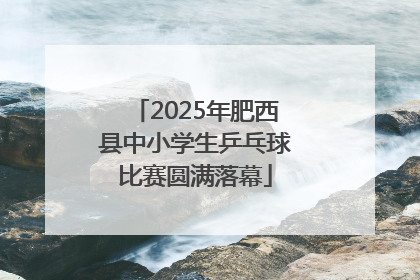 2025年肥西县中小学生乒乓球比赛圆满落幕