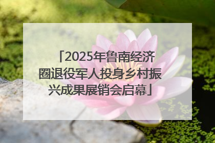 2025年鲁南经济圈退役军人投身乡村振兴成果展销会启幕