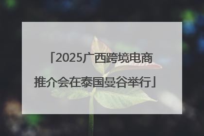 2025广西跨境电商推介会在泰国曼谷举行