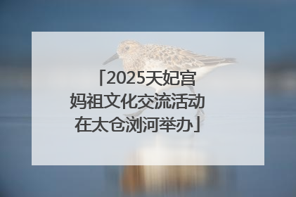 2025天妃宫妈祖文化交流活动在太仓浏河举办