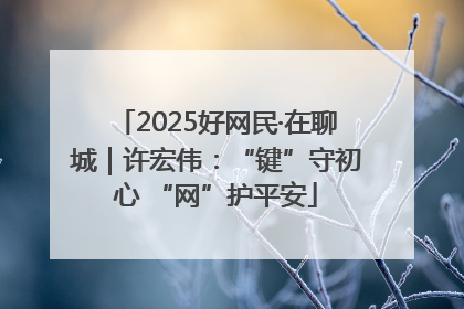 2025好网民·在聊城｜许宏伟：“键”守初心 “网”护平安