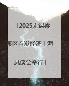2025无锡梁溪区首发经济上海恳谈会举行