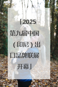 2025第九届中国（印尼）出口品牌联展开幕
