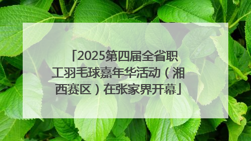 2025第四届全省职工羽毛球嘉年华活动（湘西赛区）在张家界开幕