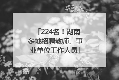 224名！湖南多地招聘教师、事业单位工作人员