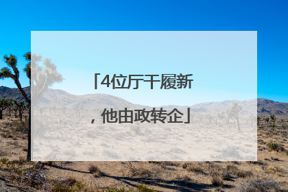 4位厅干履新，他由政转企