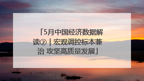 5月中国经济数据解读②｜宏观调控标本兼治 攻坚高质量发展