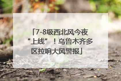 7-8级西北风今夜“上线”！乌鲁木齐多区拉响大风警报