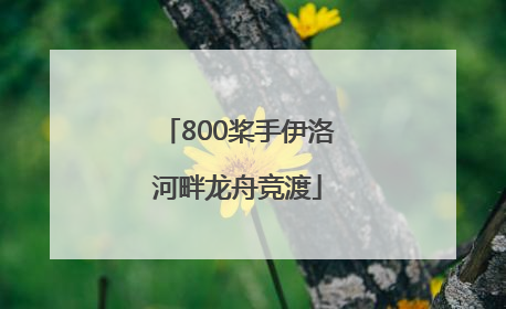 800桨手伊洛河畔龙舟竞渡