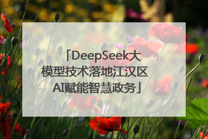 DeepSeek大模型技术落地江汉区 AI赋能智慧政务