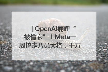 OpenAI痛呼“被偷家”！Meta一周挖走八员大将，千万美元薪酬战开打