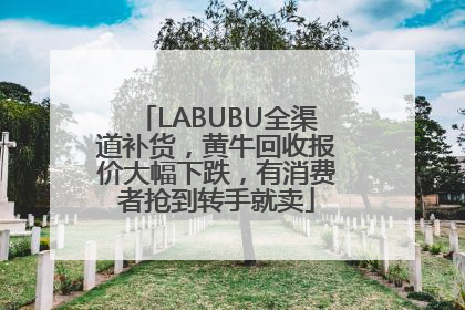 LABUBU全渠道补货，黄牛回收报价大幅下跌，有消费者抢到转手就卖