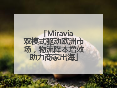 Miravia双模式驱动欧洲市场，物流降本增效助力商家出海