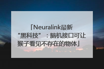 Neuralink最新“黑科技”：脑机接口可让猴子看见不存在的物体